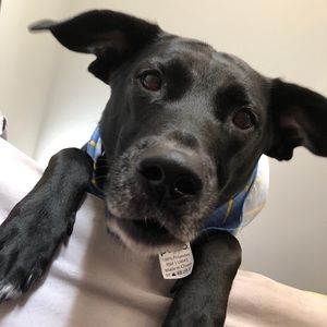 Meet your Posher, Kassi